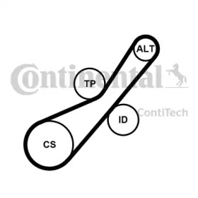 CONTITECH 6pk800k2 -  