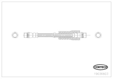 CORTECO 19036603 -  Тормозной шланг