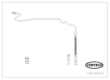 CORTECO 19036850 -  Тормозной шланг
