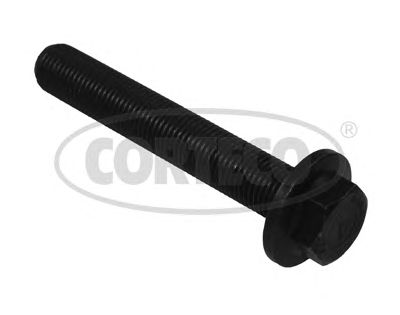 CORTECO 80004902 -  