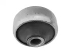 CTE cbh03059 -
