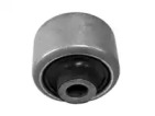 CTE cbh17030 -