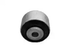 CTE cbh19032 -