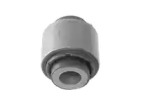 CTE cbh20019 -