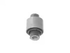 CTE cbh20021 -