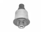 CTE cbh21007 -