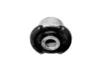 CTE cbh31019 -