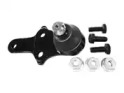 CTE cbj03013a -