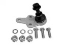CTE cbj03015a -  