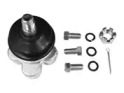 CTE cbj05013a -  