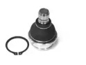 CTE cbj06024 -