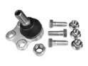 CTE cbj10006a -  