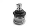 CTE cbj10008 -