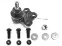 CTE cbj15007a -