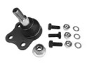 CTE cbj17010a -  