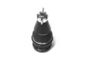 CTE cbj18003 -  