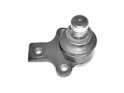 CTE cbj20002 -