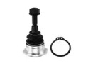CTE cbj31008 -