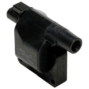 DELPHI gn1002411b1 -  Катушка зажигания