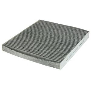 DELPHI tsp0325338c -  Фильтр воздуха в салоне