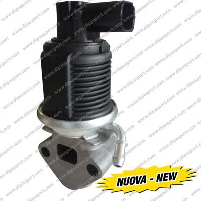 DIPASPORT egr023n -  