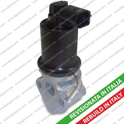 DIPASPORT egr023r -  