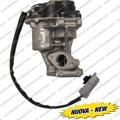 DIPASPORT egr182n -