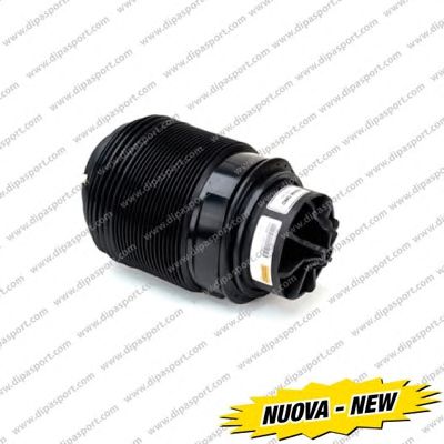 DIPASPORT ssa02790n -