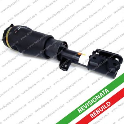 DIPASPORT ssas02517r -