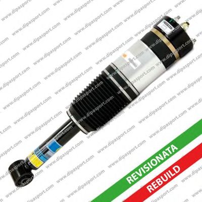 DIPASPORT ssas02570r -