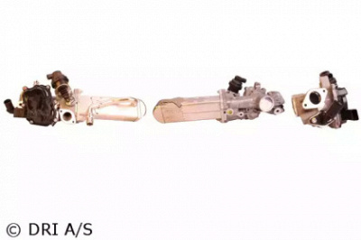 DRI 717730132 -  Клапан возврата ОГ