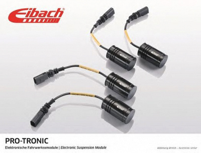 EIBACH am65650130122 -  