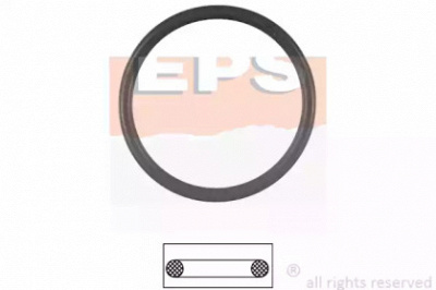 EPS 1890538 -  Прокладка, термостат