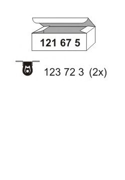 ERNST 121675 -