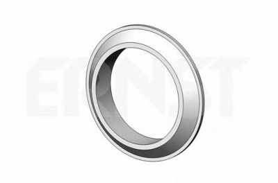 ERNST 498661 -  Уплотнительное кольцо, труба выхлопного газа