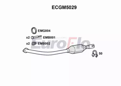 EUROFLO ecgm5029 -