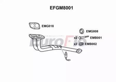 EUROFLO efgm8001 -