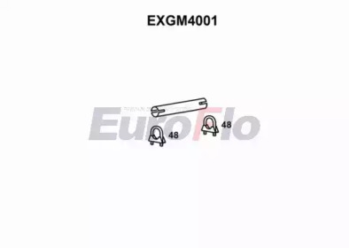 EUROFLO exgm4001 -  