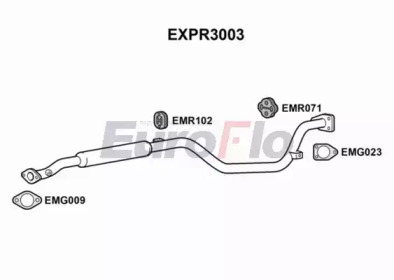 EUROFLO expr3003 -  