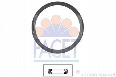 FACET 79547 -  Прокладка, термостат