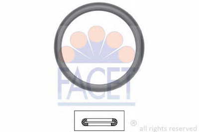 FACET 79598 - Прокладка, термостат