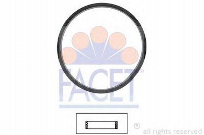 FACET 79649 -  Прокладка, термостат