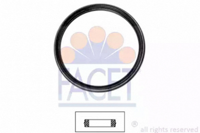 FACET 79720 -  