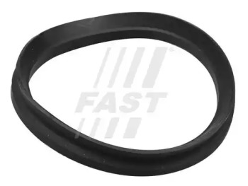 FAST ft12192 -  ПЫЛЬНИК ПОДШИПНИКА ОПОРЫ АМОРТИЗАТОРА DUCATO 94- R