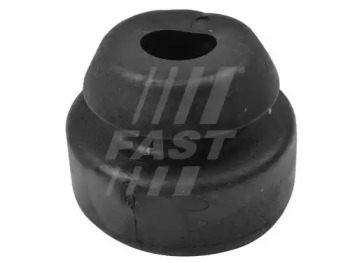 FAST ft13056 -  Подвеска, радиатор