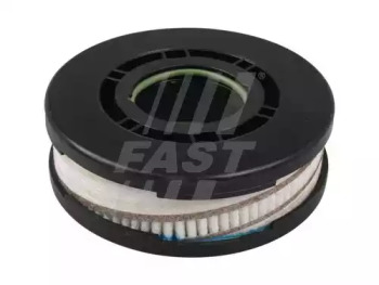 FAST ft38076 -  FT38076 ФИЛЬТР ВЕНТИЛЯЦИИ КАРТЕРНЫХ ГАЗОВ