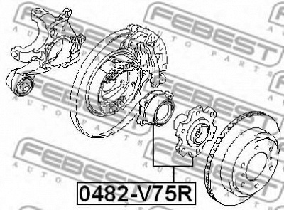 FEBEST 0482v75r -  Ступица колеса заднего