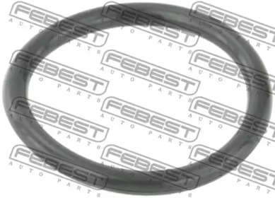FEBEST ringwhb5 -  Кольцо уплотнительное системы охлаждения