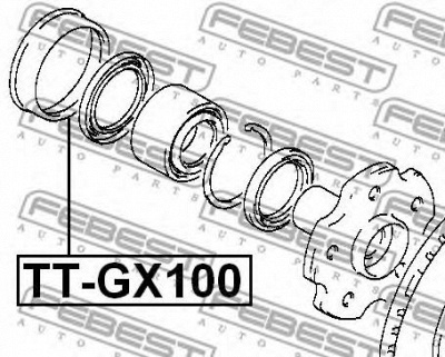 FEBEST ttgx100 -  Пыльник подшипника задней ступицы