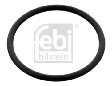 FEBI 100077 -  Прокладка, корпус термостата